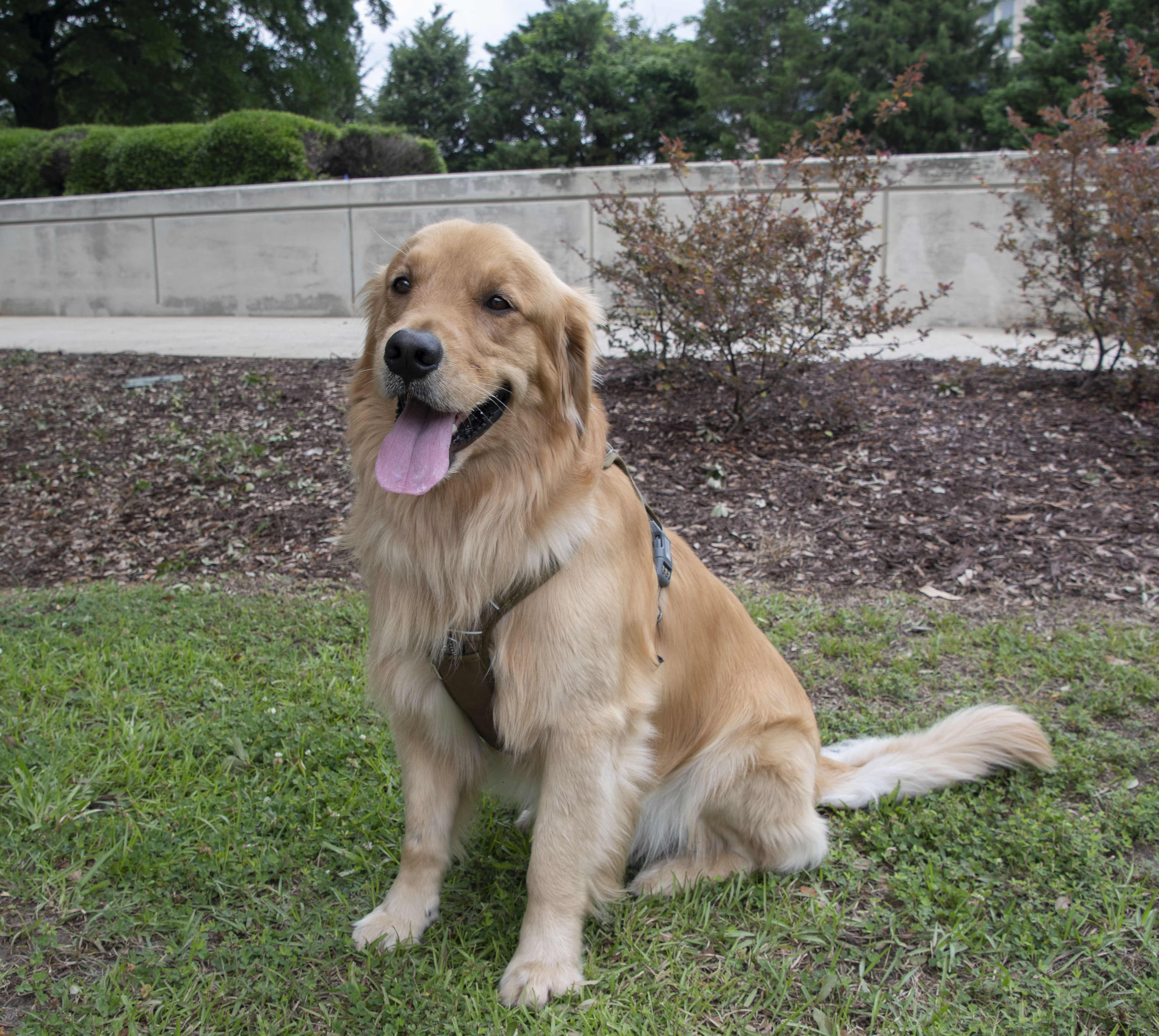 image failed to load