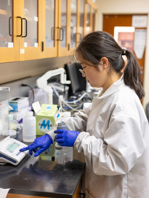 Lab