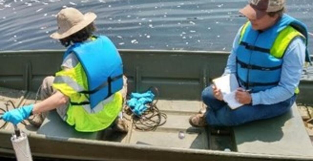 Leachate sampling
