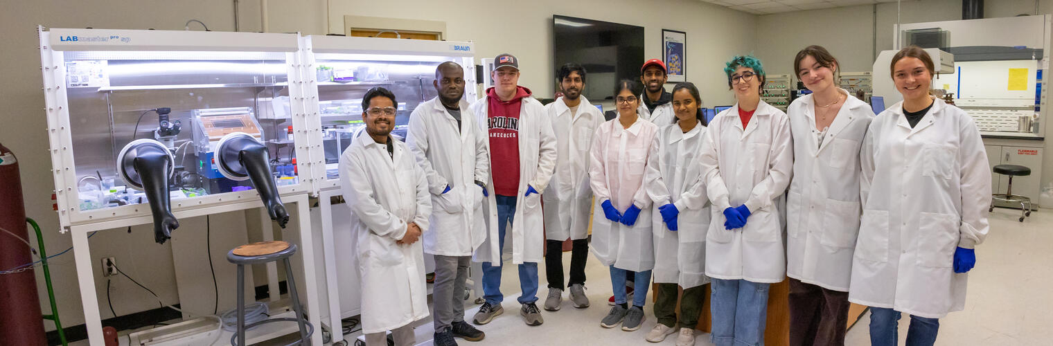 lab