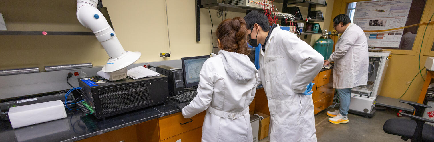 lab