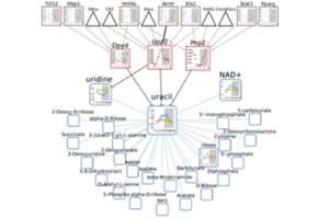 circadiomics
